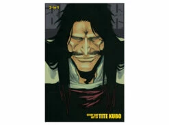 Bleach (3-in-1) Vol. 19