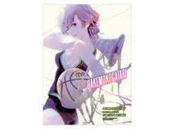 Bakemonogatari Vol. 4