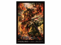 Overlord Novel Vol. 13 (Hard Cover)