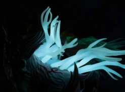 First 4 Figures Shiranui (Celestial Howl Statue) -Otakustore Greek 26150 shiranui celestial howl statue 3 big